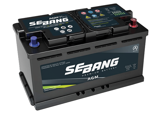 Sebang DIN100 Car Battery